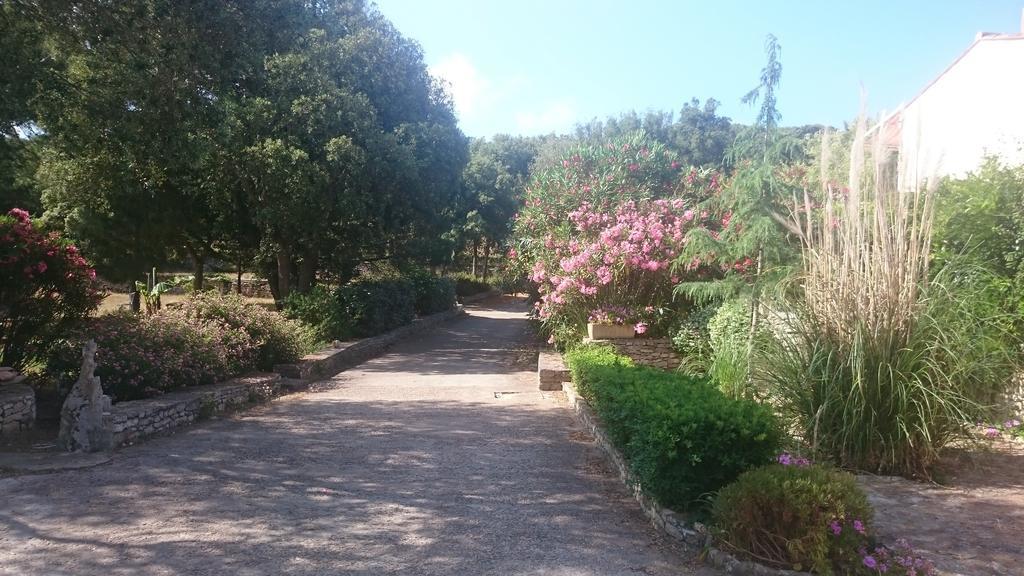Domaine De Foresta Guest house Bonifacio (Corsica)