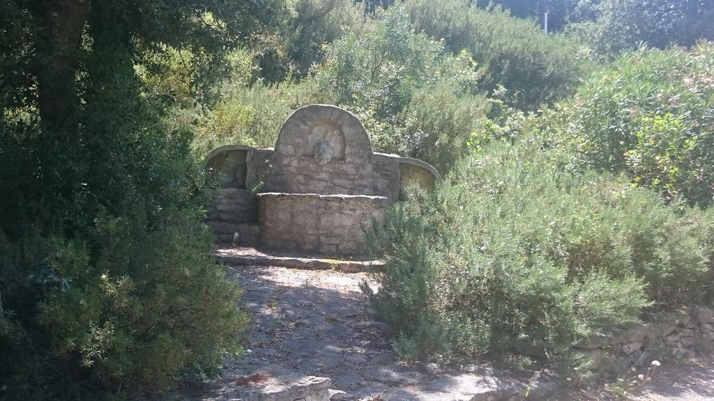 Domaine De Foresta Guest house 3*