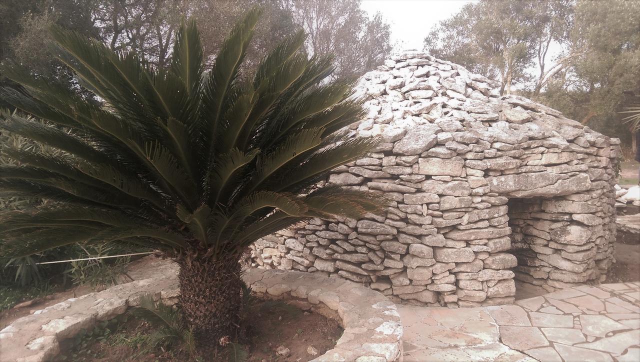 Domaine De Foresta Guest house