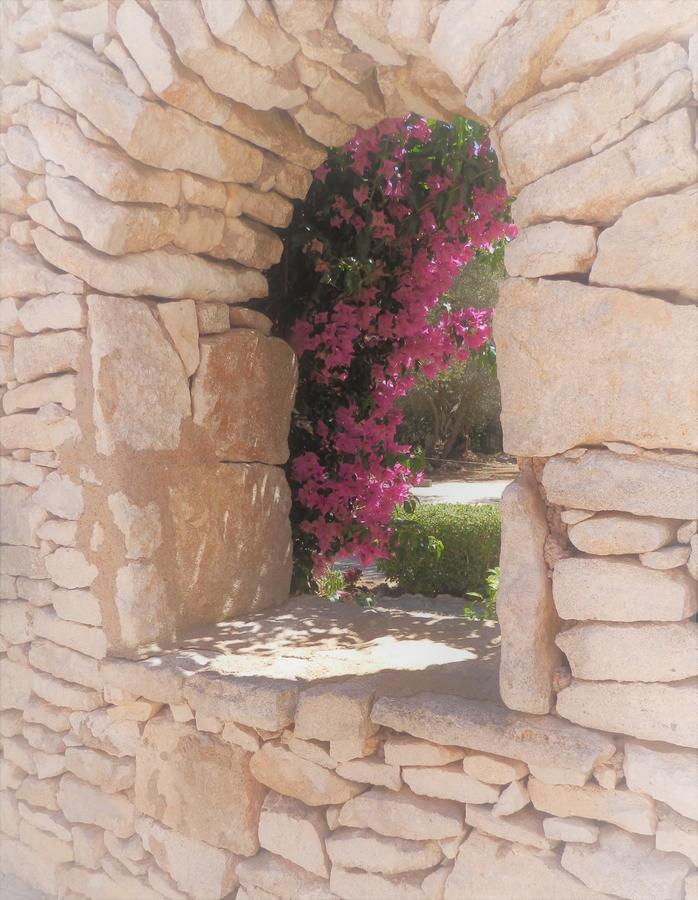 Guest house Domaine De Foresta